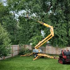 Best Tree Mulching  in Ho Ho Kus, NJ